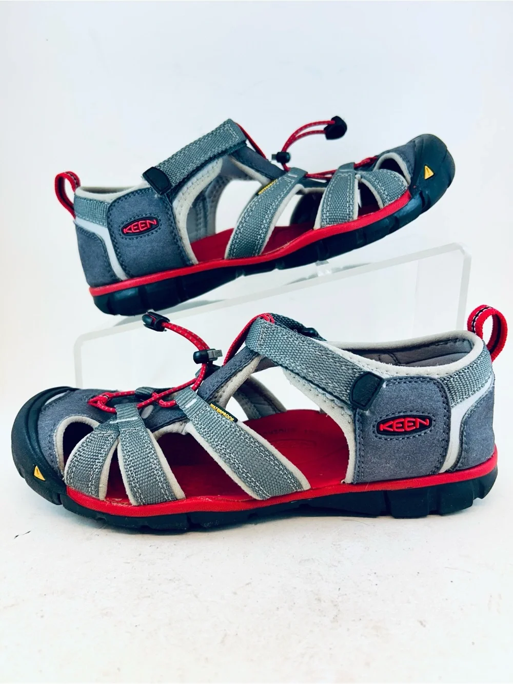 Keen from pet